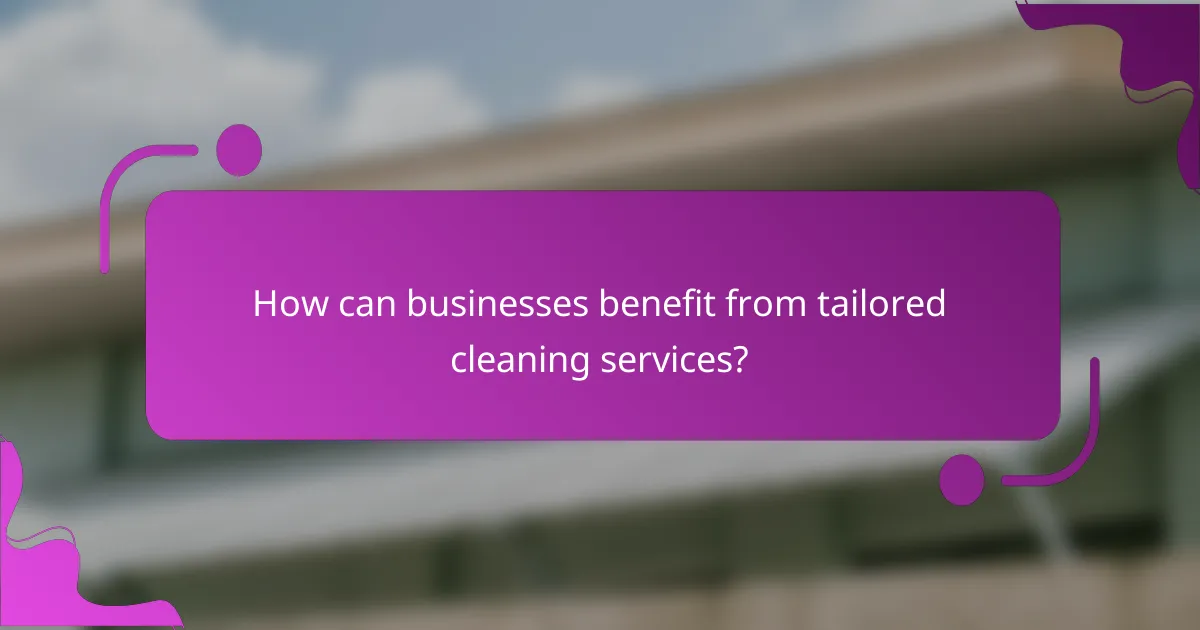 How can businesses benefit from tailored cleaning services?