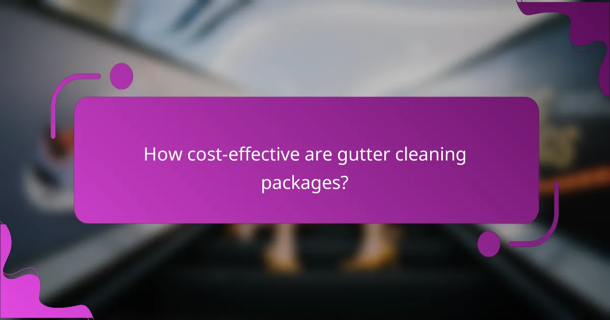 How cost-effective are gutter cleaning packages?