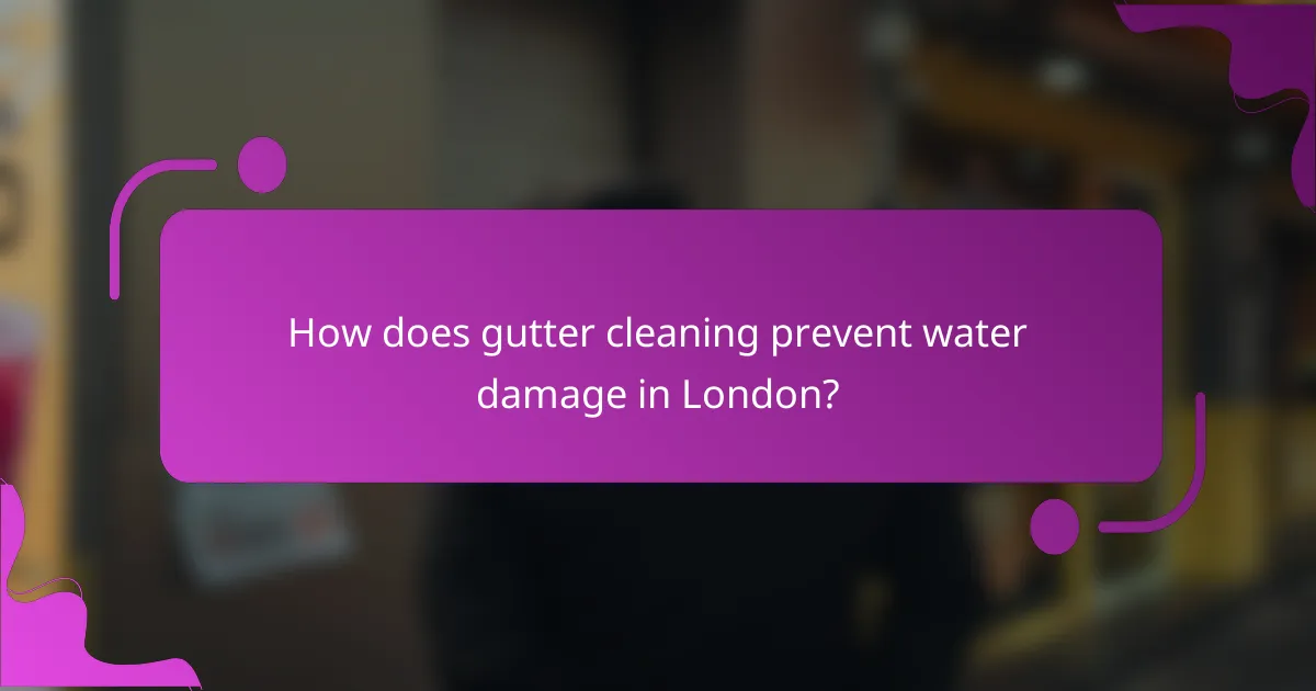 How does gutter cleaning prevent water damage in London?