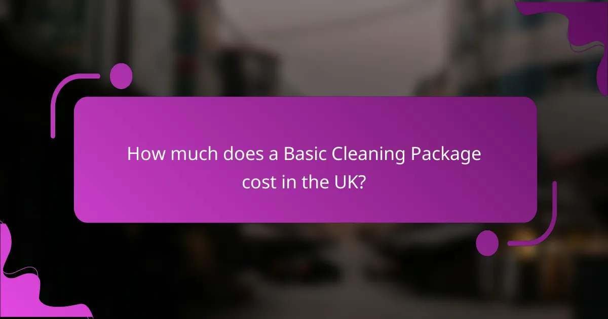 How much does a Basic Cleaning Package cost in the UK?