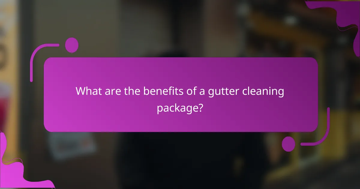 What are the benefits of a gutter cleaning package?
