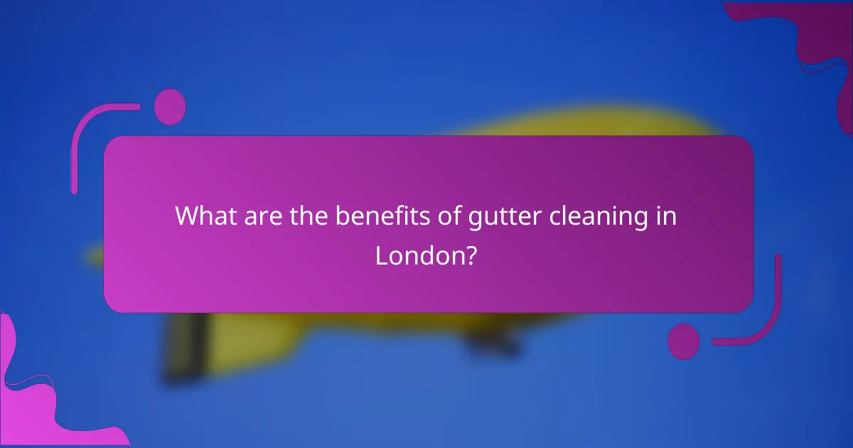 What are the benefits of gutter cleaning in London?