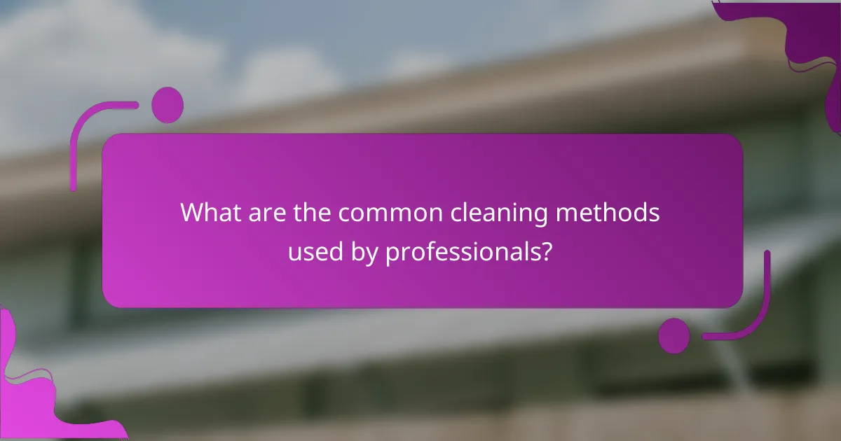 What are the common cleaning methods used by professionals?