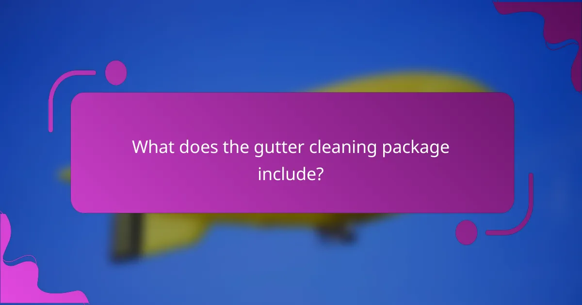 What does the gutter cleaning package include?