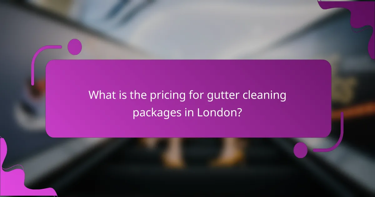 What is the pricing for gutter cleaning packages in London?