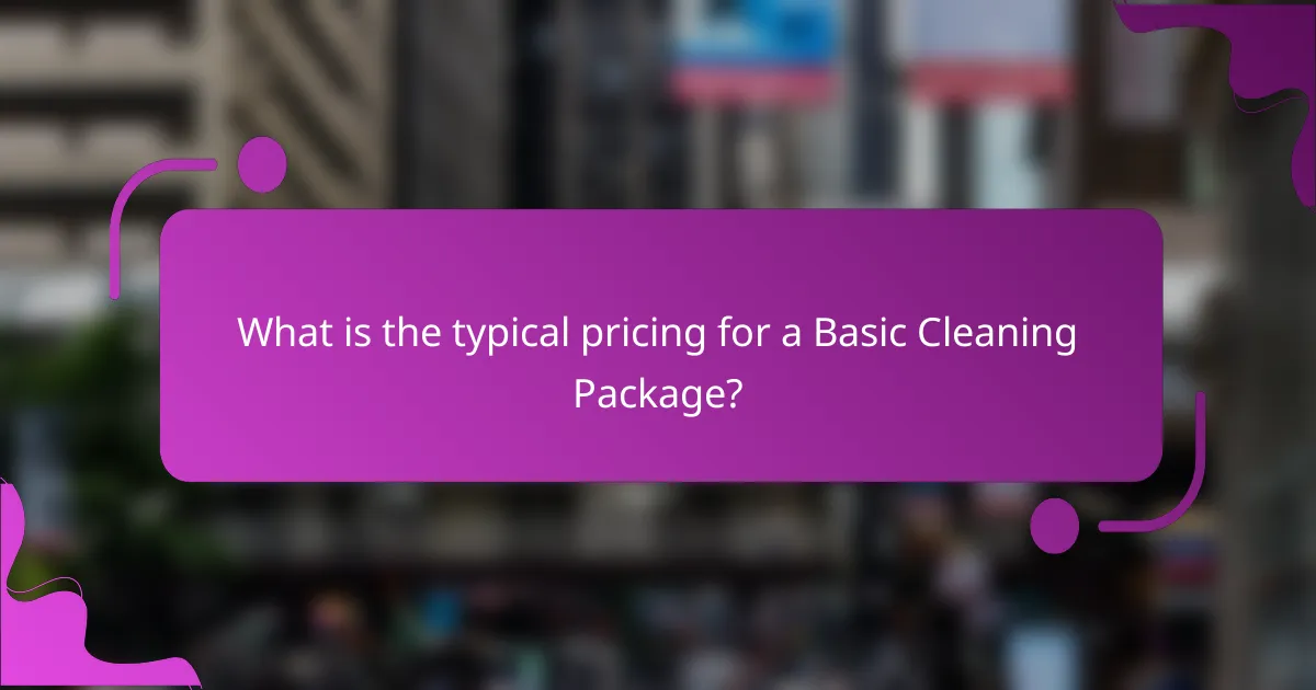 What is the typical pricing for a Basic Cleaning Package?